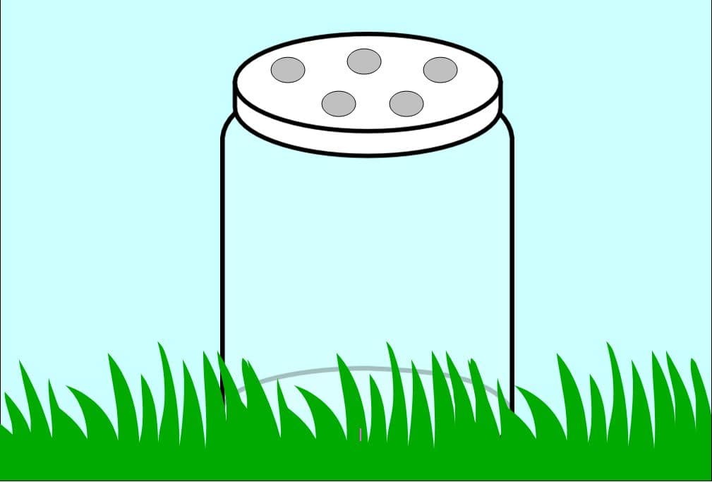 Bugs in a Jar addition worksheet The Measured Mom