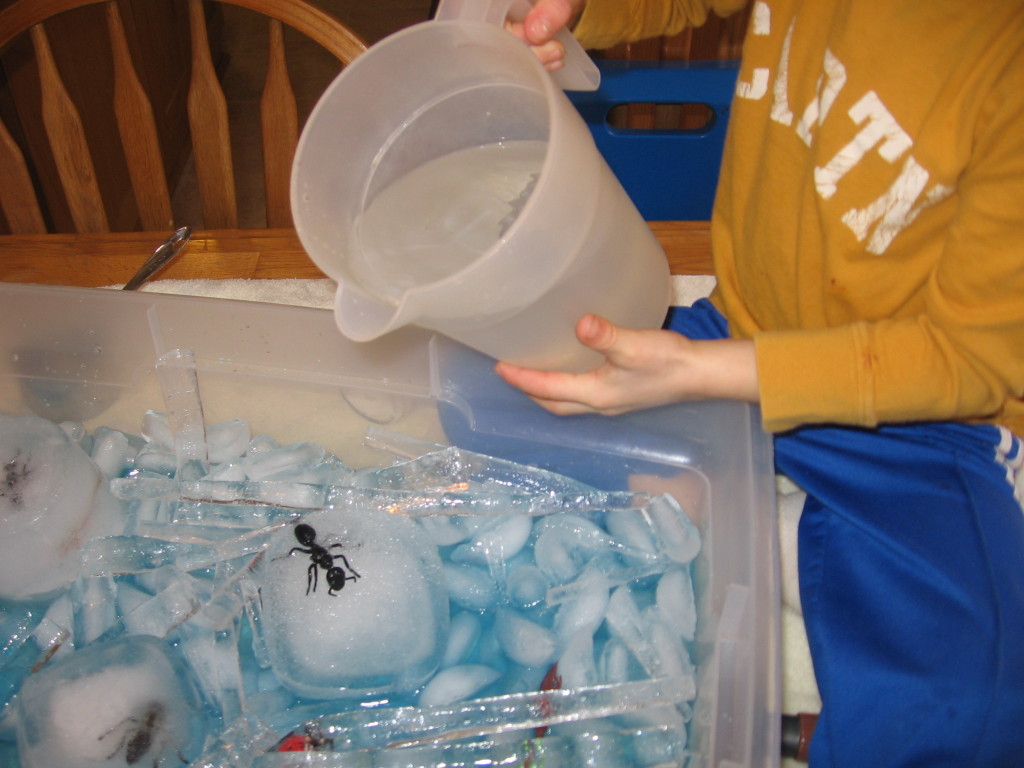 child pouring warm water into bin
