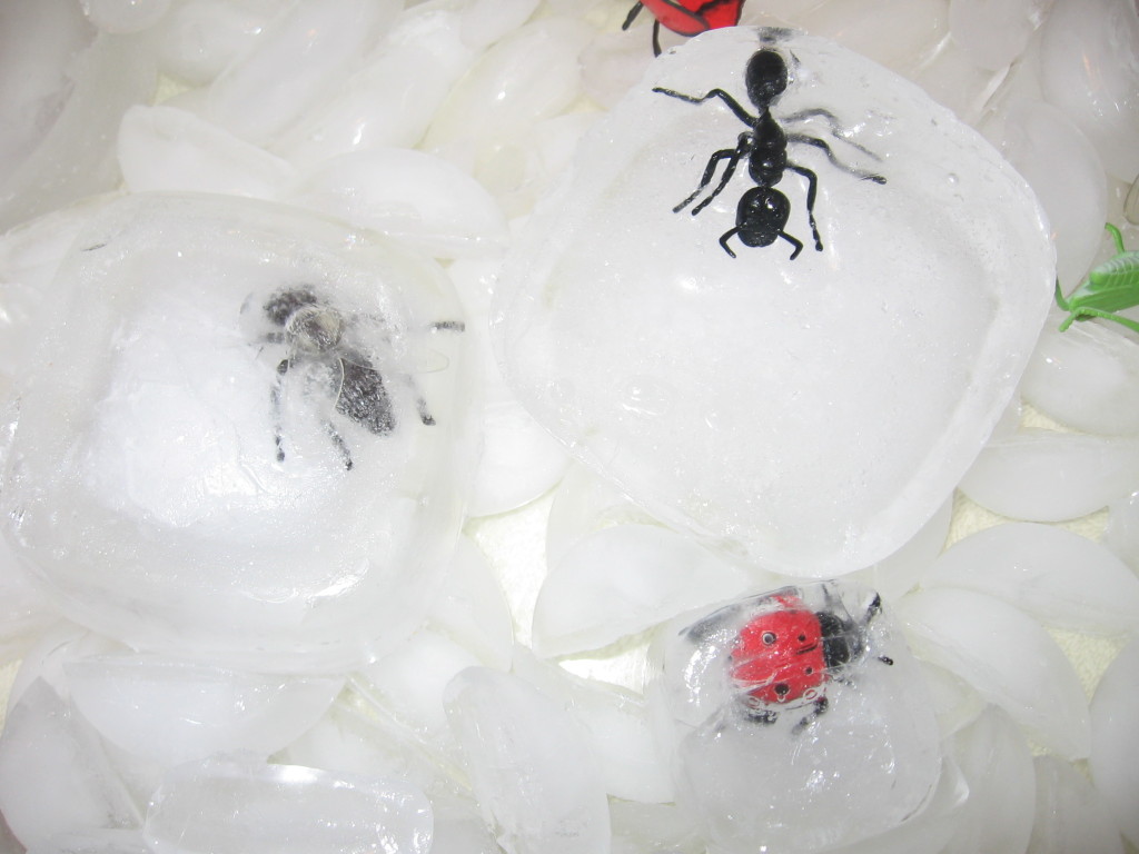toy insects in ice