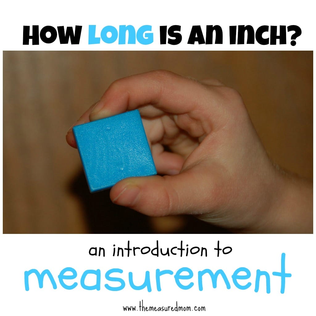 How Long Is An Inch an Introduction To Linear Measurement The 