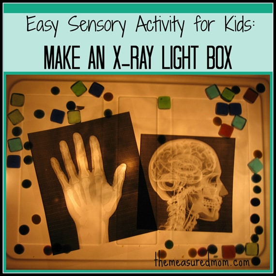 simple sensory fun x-ray light box - the measured mom