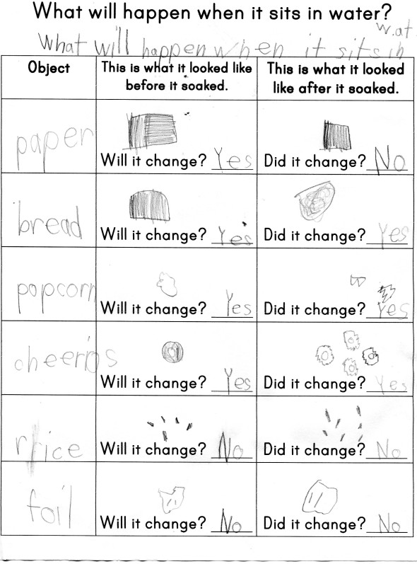 What will happen when it sits in water? worksheet