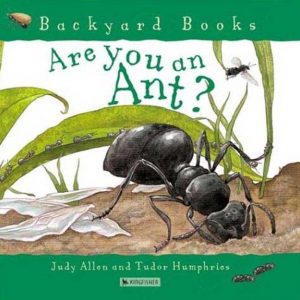 are you an ant