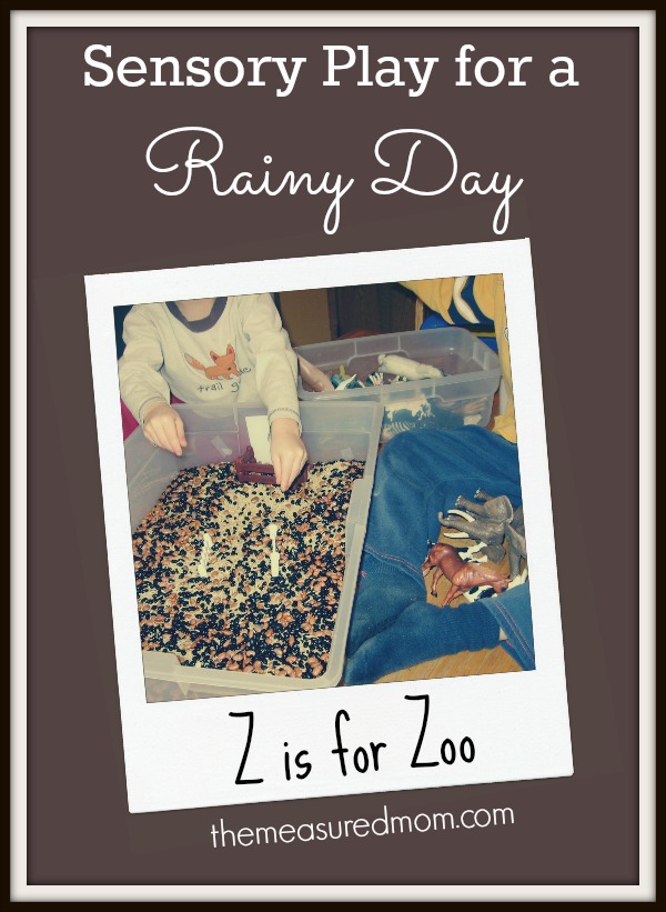 rainy-day-activity-for-preschoolers-zoo-sensory-play-the-measured-mom