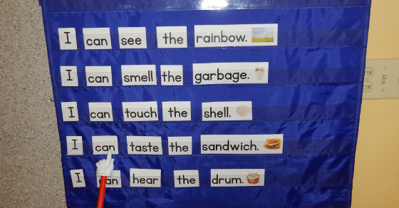 5 Senses Sentences Examples