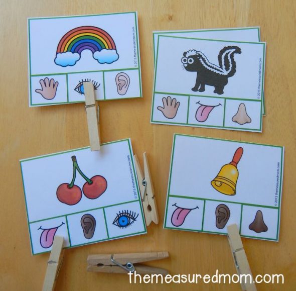 Free five senses activity for preschool and kindergarten - The Measured Mom