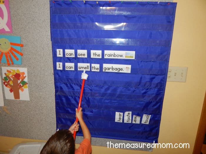 Five senses activity for preschool and kindergarten - The Measured Mom