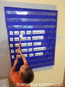 Five senses activity for preschool - The Measured Mom