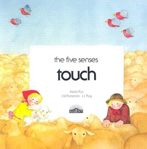 Books About The Five Senses The Measured Mom
