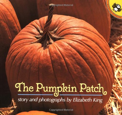 Pumpkin books for kids - The Measured Mom