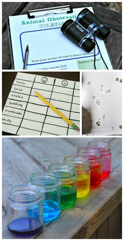 This collection of science experiments and STEM activities will give you something to do every month of the year!