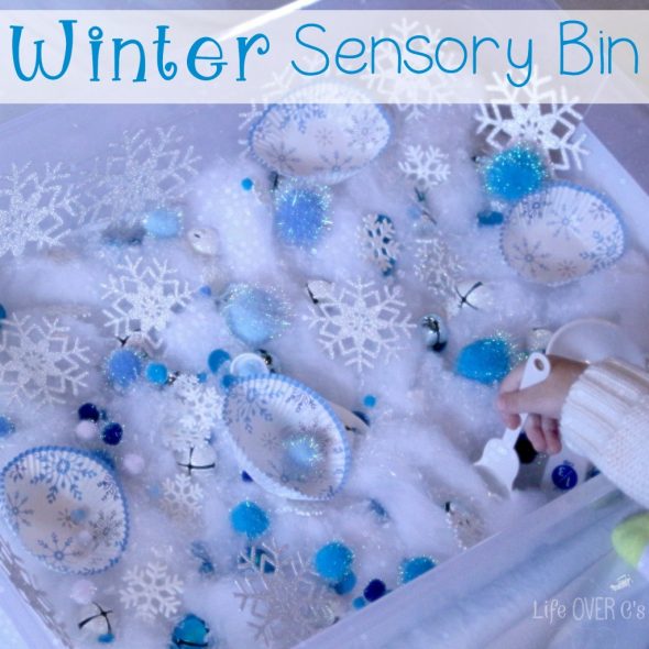 winter sensory bin