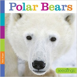 Just what I was looking for to go with our arctic animals theme!