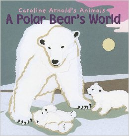 Just what I was looking for to go with our arctic animals theme!