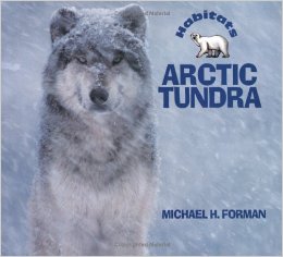 Just what I was looking for to go with our arctic animals theme!