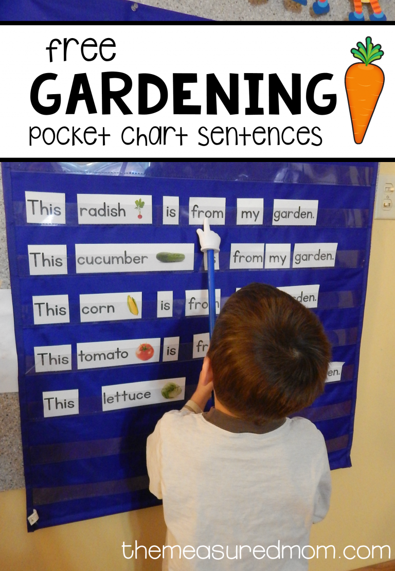 This contains an image of: Garden pocket chart sentences