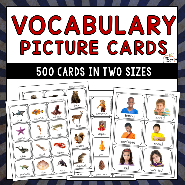 500 Vocabulary Picture Cards - The Measured Mom