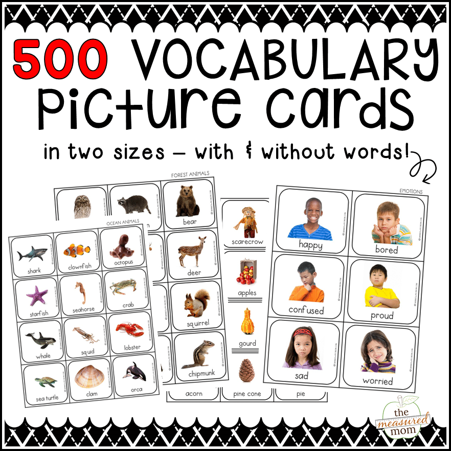500 Vocabulary Picture Cards - Special Offer - The Measured Mom