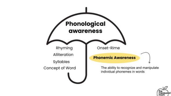 The difference between phonological and phonemic awareness